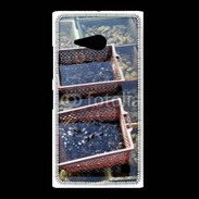 Coque Nokia Lumia 735 Conchyliculteur