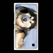 Coque Nokia Lumia 735 Chien d'Alaska