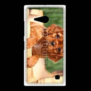 Coque Nokia Lumia 735 Chiot King Charles 2