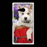 Coque Nokia Lumia 735 Portrait chiot Husky de Sibérie 1