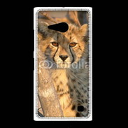 Coque Nokia Lumia 735 Jeune félin