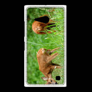 Coque Nokia Lumia 735 Chevreuil PB 1