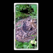 Coque Nokia Lumia 735 Lapin sauvage PB 1