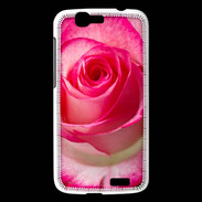 Coque Huawei Ascend G7 Belle rose 3