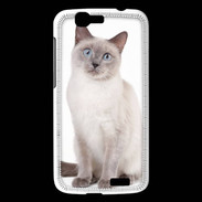 Coque Huawei Ascend G7 Chat siamois 25