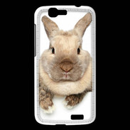 Coque Huawei Ascend G7 Portrait de lapin