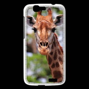 Coque Huawei Ascend G7 Portrait d'une Giraffe