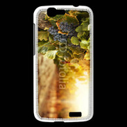 Coque Huawei Ascend G7 Pied de vigne en automne