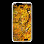 Coque Huawei Ascend G7 Arbres en automne