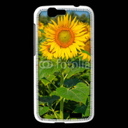 Coque Huawei Ascend G7 Champs de Tournesol