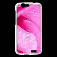 Coque Huawei Ascend G7 Pétale de rose