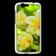 Coque Huawei Ascend G7 Fleurs Frangipane