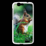 Coque Huawei Ascend G7 Ecureuil