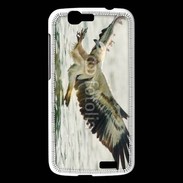 Coque Huawei Ascend G7 Aigle pêcheur