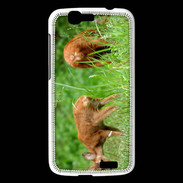 Coque Huawei Ascend G7 Chevreuil PB 1