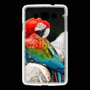 Coque LG L60 Macaw bleu et rouge 75