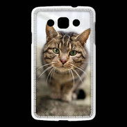 Coque LG L60 Portrait de chat PR