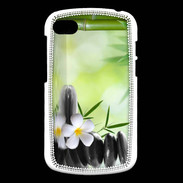 Coque Blackberry Q10 Eau de Spas