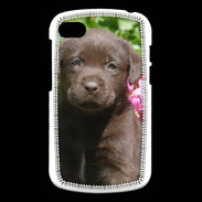 Coque Blackberry Q10 Chien labrador chocolat 3