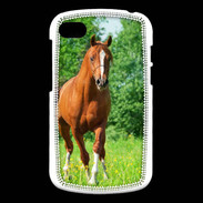 Coque Blackberry Q10 Cheval arabe robe marron et blanche