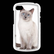 Coque Blackberry Q10 Chat siamois 25