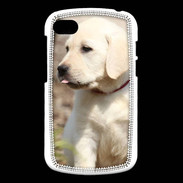 Coque Blackberry Q10 Adorable labrador