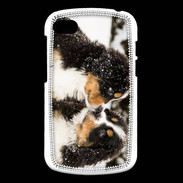 Coque Blackberry Q10 Chiot Saint Bernard