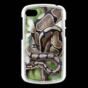 Coque Blackberry Q10 Serpent Python Royal