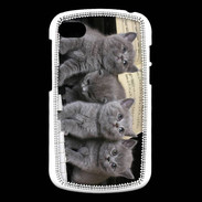 Coque Blackberry Q10 Chatons musiciens