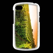 Coque Blackberry Q10 Vignes 3