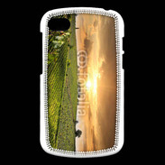 Coque Blackberry Q10 Couché de soleil sur champs de vignes