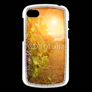 Coque Blackberry Q10 Automne, vignes, couché de soleil