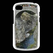 Coque Blackberry Q10 Pont médiéval sur l'Ardèche