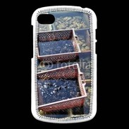 Coque Blackberry Q10 Conchyliculteur