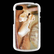 Coque Blackberry Q10 Chausson danse classique 6