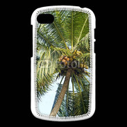 Coque Blackberry Q10 Cocotier