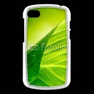 Coque Blackberry Q10 Feuille écologie