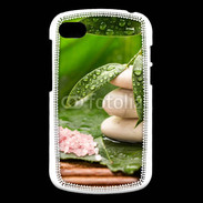 Coque Blackberry Q10 Galet et feuilles mouillées