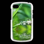Coque Blackberry Q10 herbe