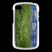 Coque Blackberry Q10 Champs de cannabis