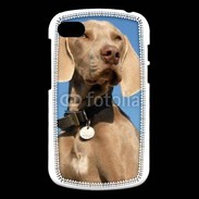 Coque Blackberry Q10 Chien de chasse Braque