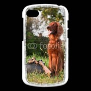 Coque Blackberry Q10 chien de chasse 300
