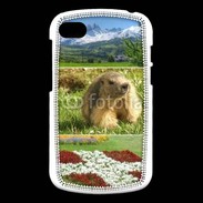 Coque Blackberry Q10 Savoie 1