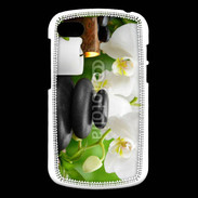 Coque Blackberry Q10 Zen attitude spa 2