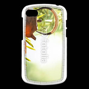 Coque Blackberry Q10 Thé zen