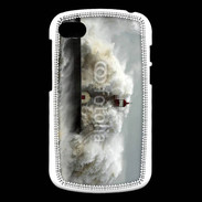Coque Blackberry Q10 tempête sur la cote