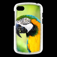 Coque Blackberry Q10 Perroquet