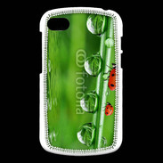 Coque Blackberry Q10 Coccinelle