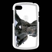 Coque Blackberry Q10 Dogue allemand noir