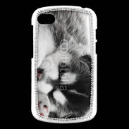 Coque Blackberry Q10 Chiot Husky